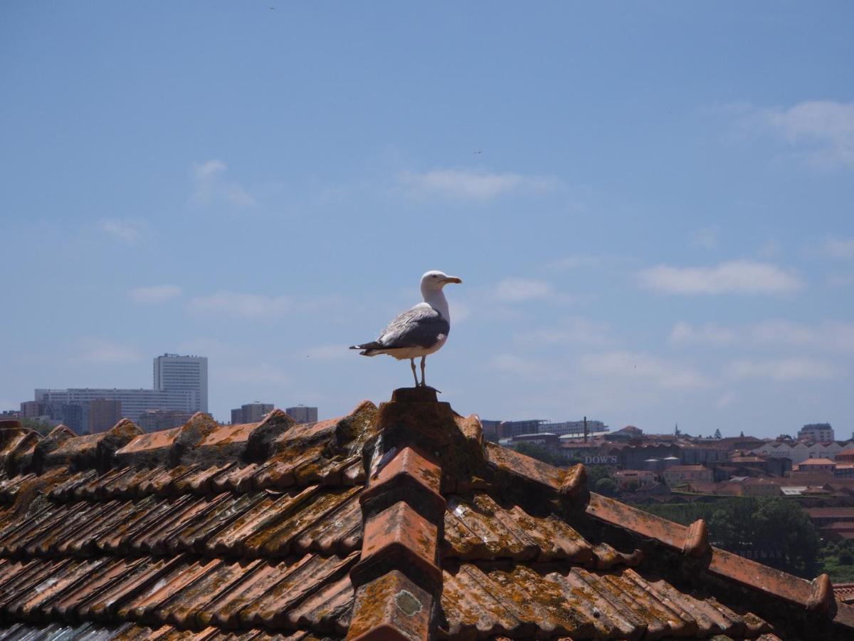 Casa Farrapos Apartman Porto Kültér fotó